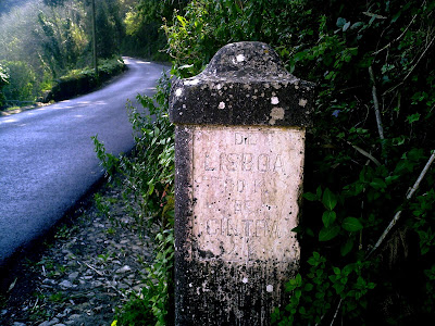 Colares